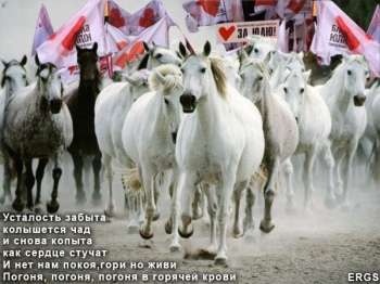 Мы проиграли бой, но не войну!