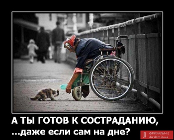 Бабушка Аня и Рыжий