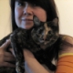 cat_n_i