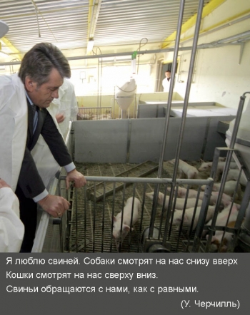 Ющенко перед политической кончиной хочет «повторить» подвиг летчика Гастелло
