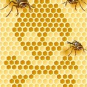 Мертві бджоли не гудуть. І люди – теж…