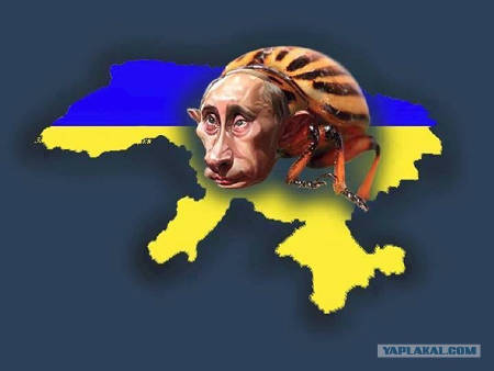 В Украине свирепствует геноцид колорадского народа