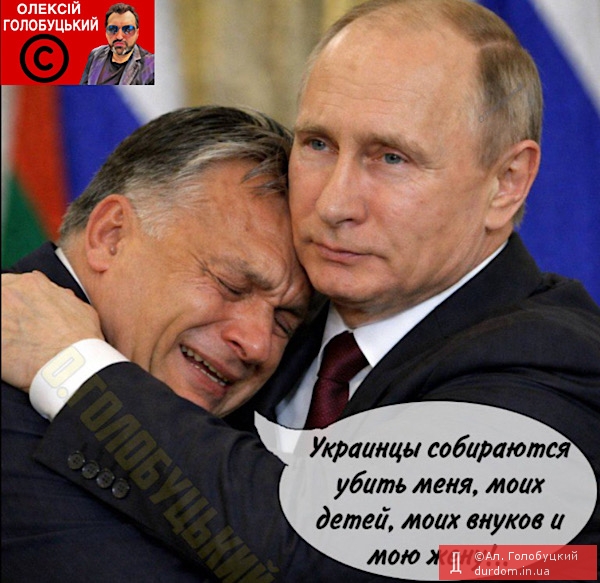 Кращі фотоприколи тижня