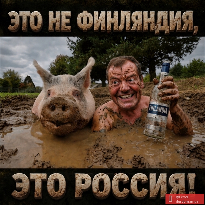 Кращі фотоприколи тижня
