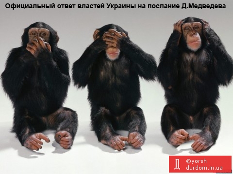 Официальный ответ властей Украины на послание Д.Медведева