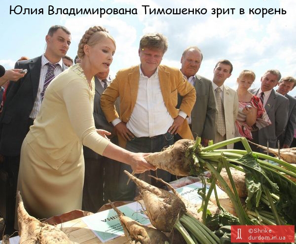 Тимошенко зрит в корень