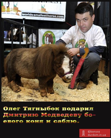 Подарок Д.Медведеву от О.Тягныбока.