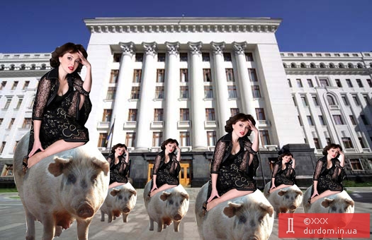 Свинарки украины идут во власть