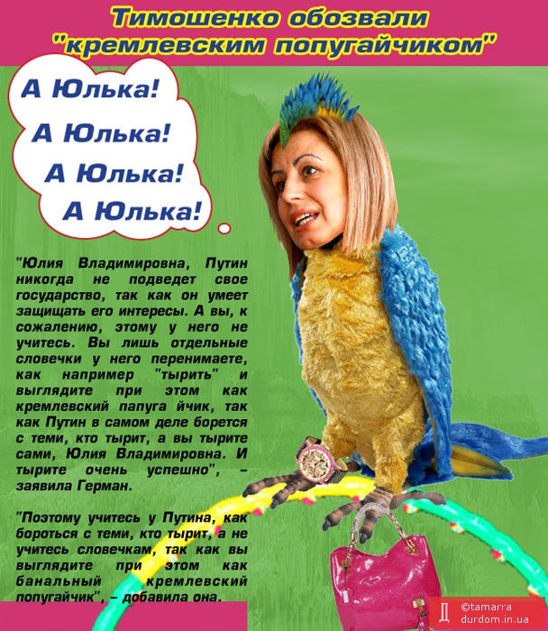 Тимошенко обозвали