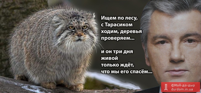 От Ющенко сбежал даже кот!