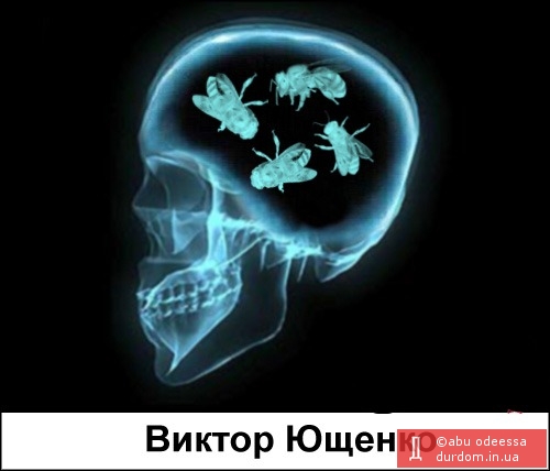 мозг политиков