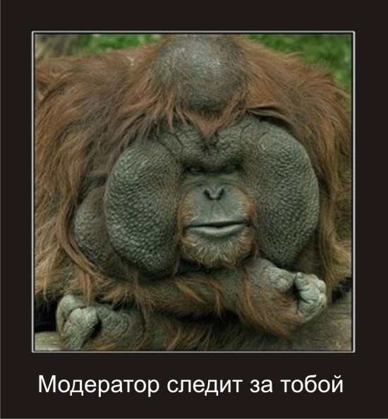 Почую кожного