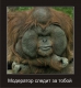 Почую кожного