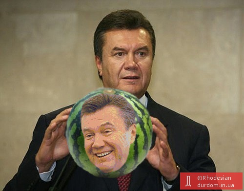 портрет Януковича сделают на арбузе
