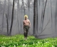 Российский ученый заявил, что в районах, где Путин тушил пожары, распустились цветы