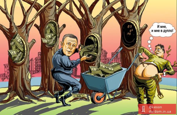 Мэр Херсона Владимир Сальдо  умудрился потратить 2 миллиона  гривен на заделывание дупел в  деревьях