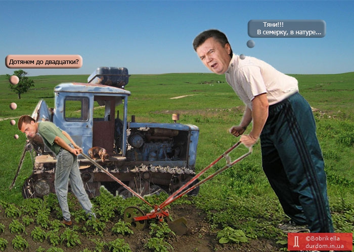 Янукович вже націлилися вивести Україну у першу сімку світу