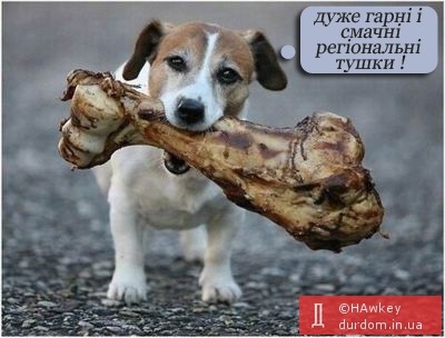 Все на выборы !!!