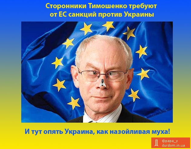 Сторонники Тимошенко требуют от ЕС санкций против Украины
