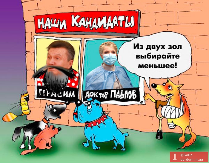 И были выборы, и не было выбора...
