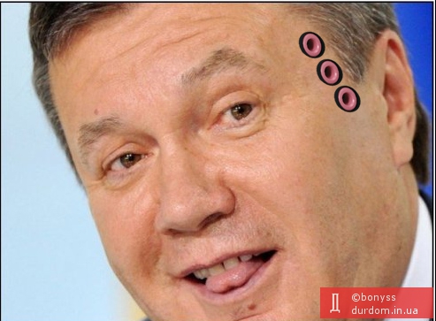 Нові технології для Януковича.