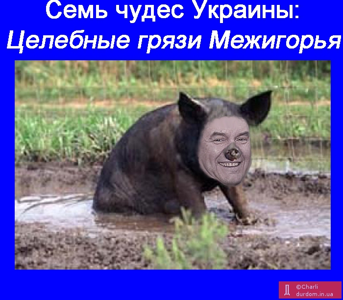 Свиня болото знайде...(Украинская народная мудрость)