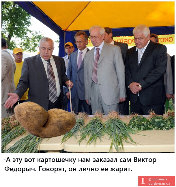 Картошечка для Януковича.