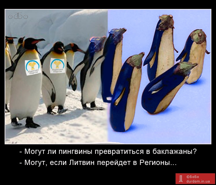 Литвин - пингвин или баклажан?