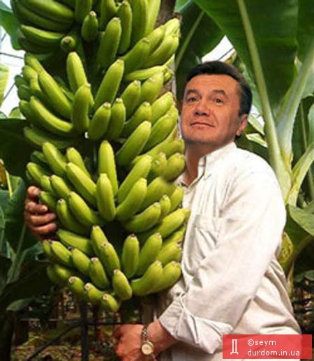 Банановий король