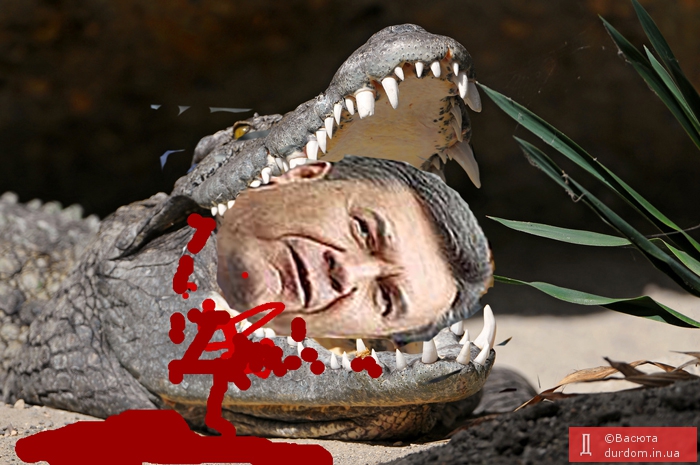 Хто запустив крокодилів в басейн?