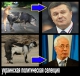 украинская политическая селекция