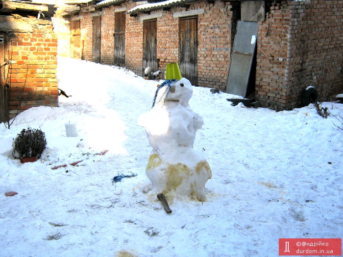 У Києві перестали відстрілювати собак :)