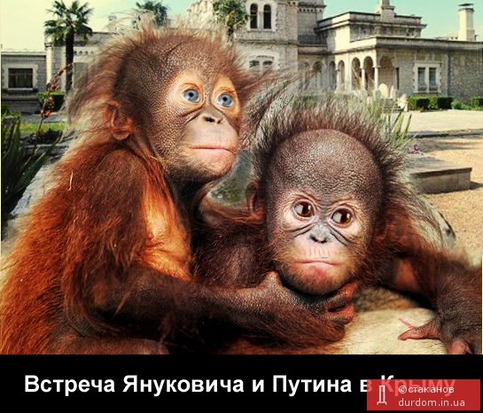 Встреча Януковича и Путина в Крыму