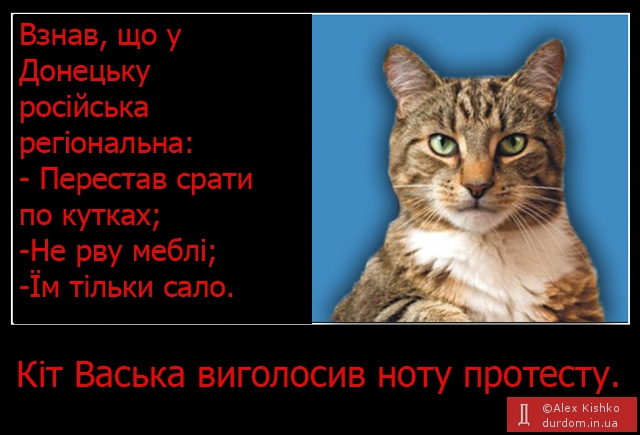 Кіт Васька протестує.