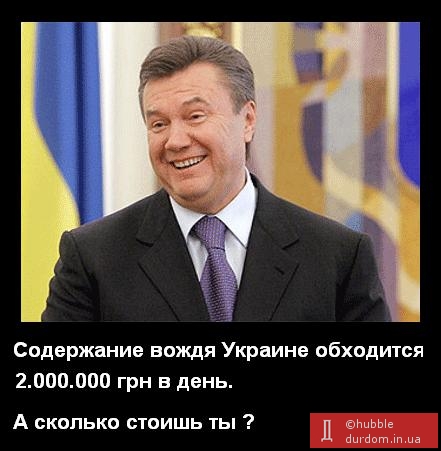 Сколько стоит Янукович