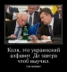 Янукович «аброзавивоит» Азирова
