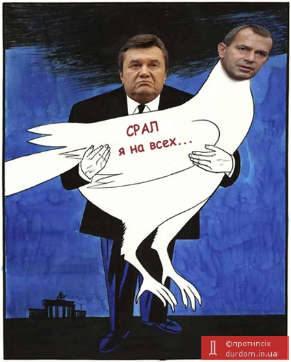Голубь мира от Януковича.
