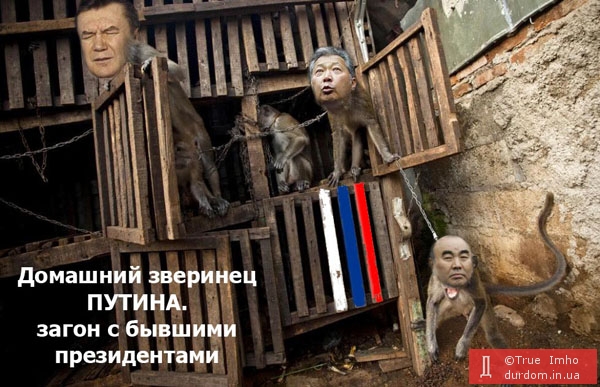 Домашний зверинец Путина, проворовавшиеся президенты