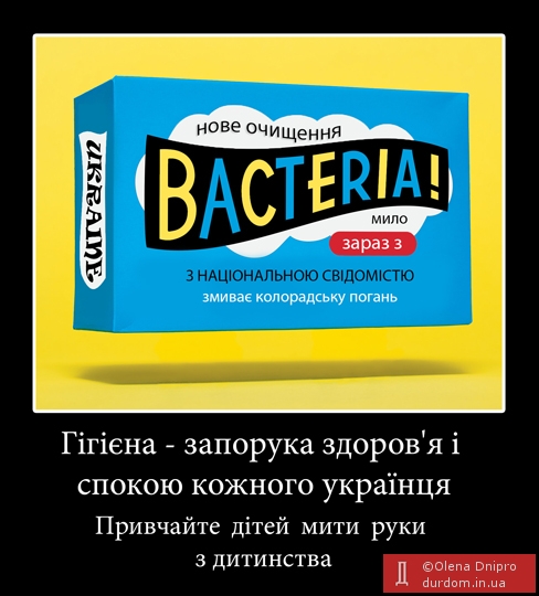 *bacteria