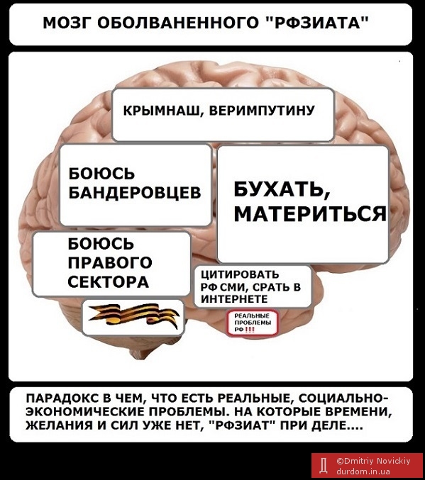 Мозг РФзиатов и РАШИСТОВ...