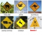 дорожные знаки 