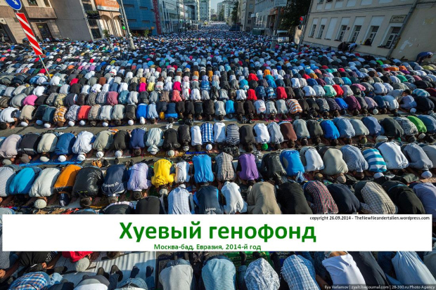 Ху*вый генофонд. Москва-бад, Евразия, 2014-й год.