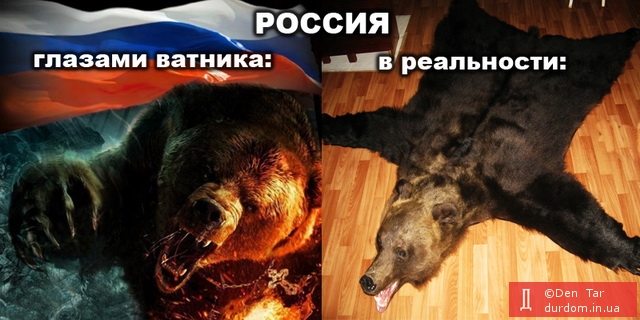 Медведь - символ России. Американский, гризли