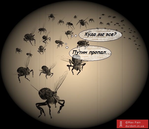 Миллионы мух не могут ошибаться...