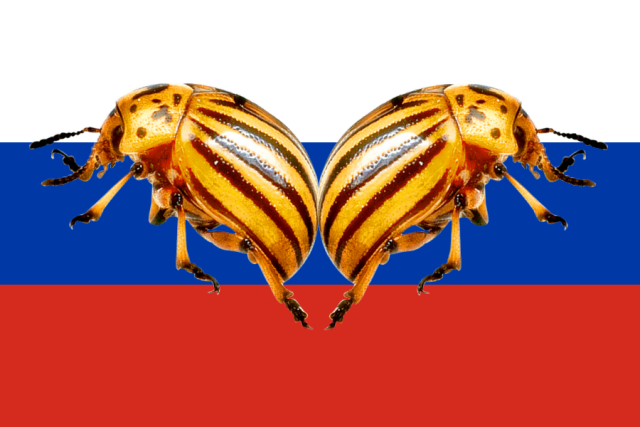 В Госдуму внесен законопроект, предлагающий изменить герб россии на двуглавого колорадского жука.