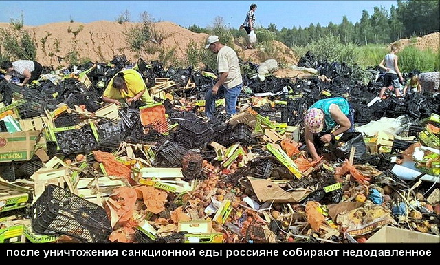 после уничтожения санкционной еды россияне собирают недодавленное