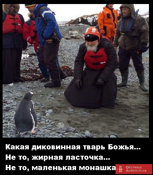 Кирилл всея пингвинов