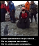 Кирилл всея пингвинов