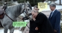 Путин и его лошадь