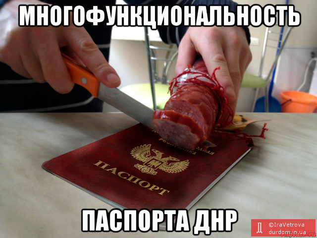 Весь смысл паспорта ДНР